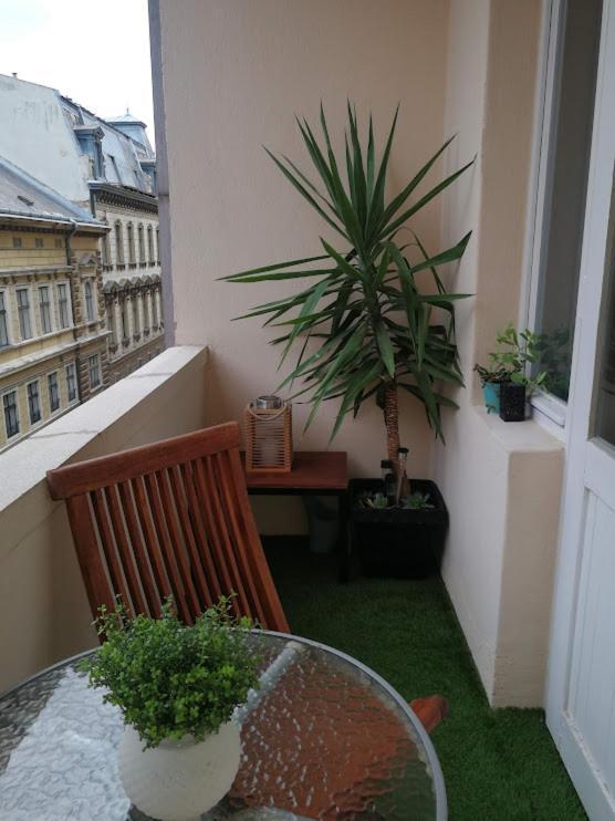 Centrum11 Pécs Exterior photo